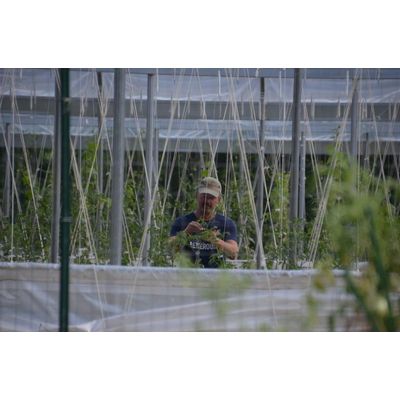 St. Joseph Urban Farm