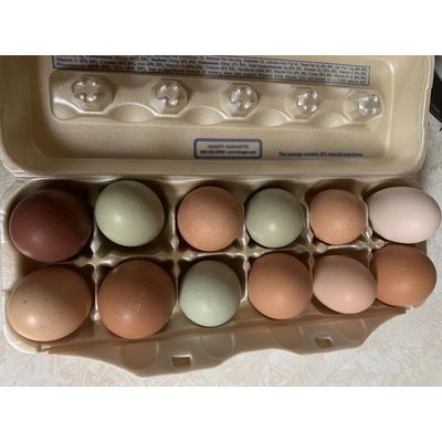 Arendall's Happy Hen Farm