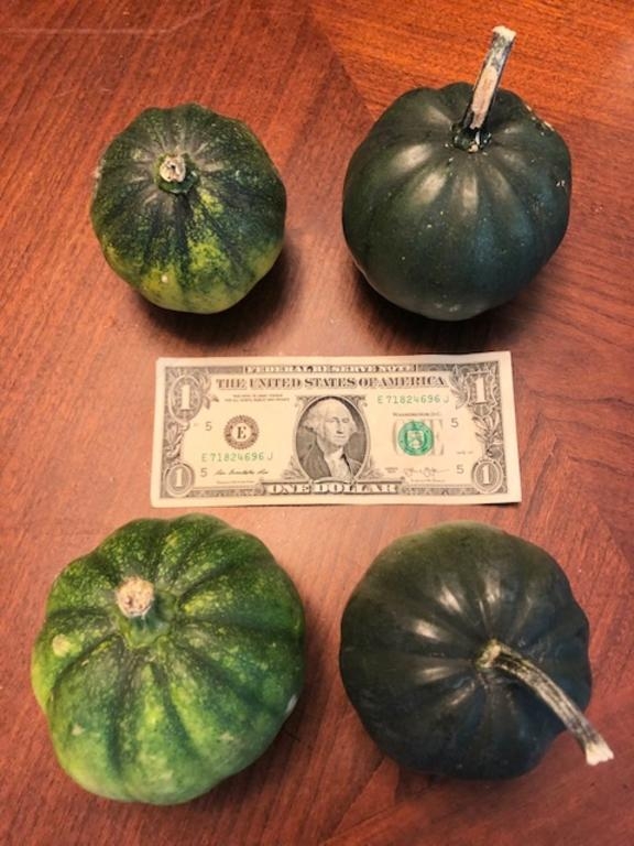 Acorn Squash - personal size