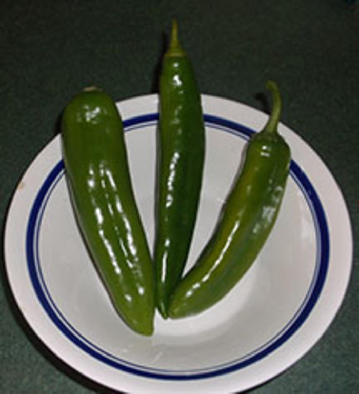 Anaheim Chile Peppers