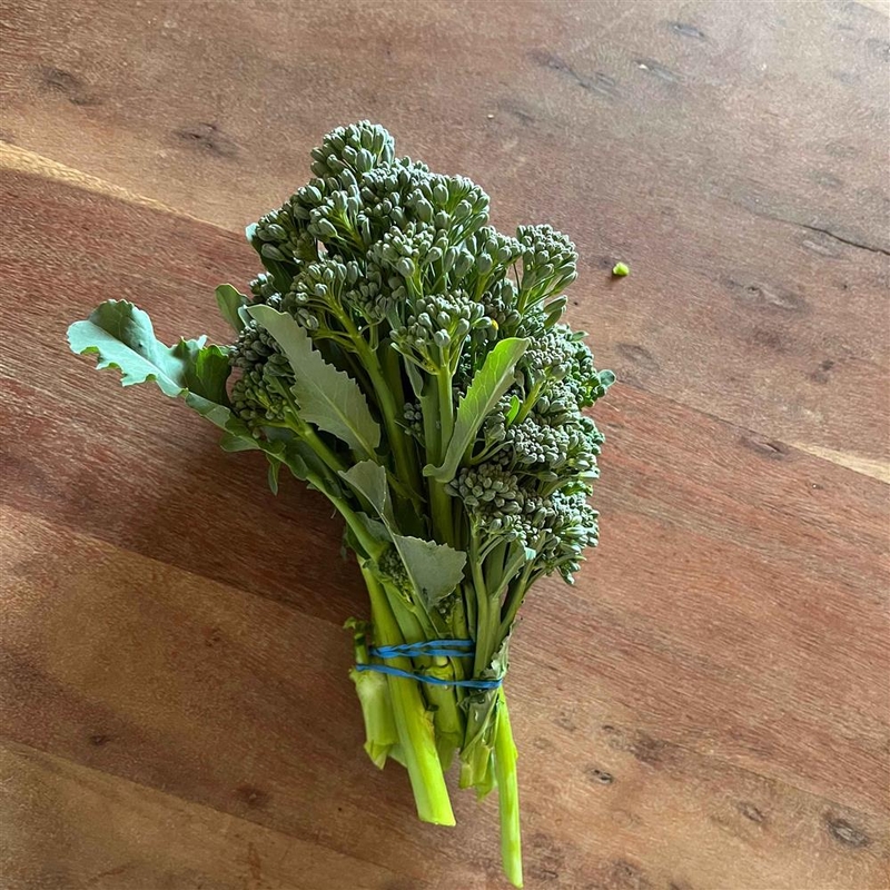 Broccoli, Sweet